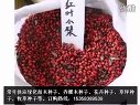 2吨绿化苗木种子常年批发